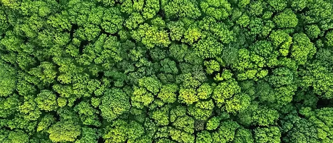 Экологически чистый завод